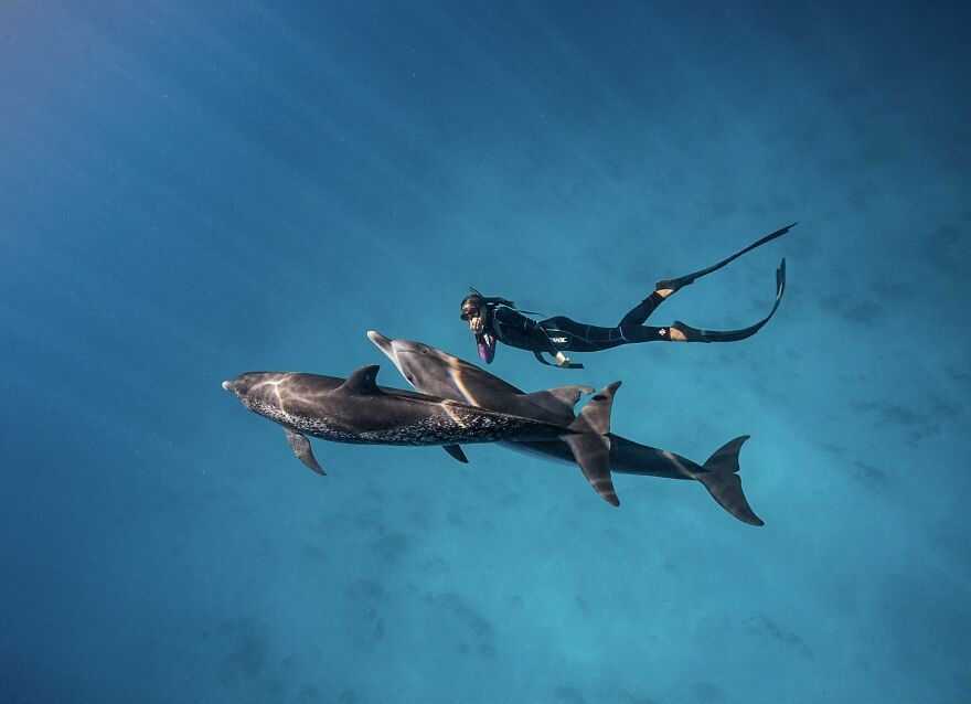 Finalist, Human Connection Award: People & Planet Ocean