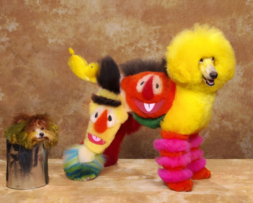 Alf, Mickey And The Other Dogs (2023)