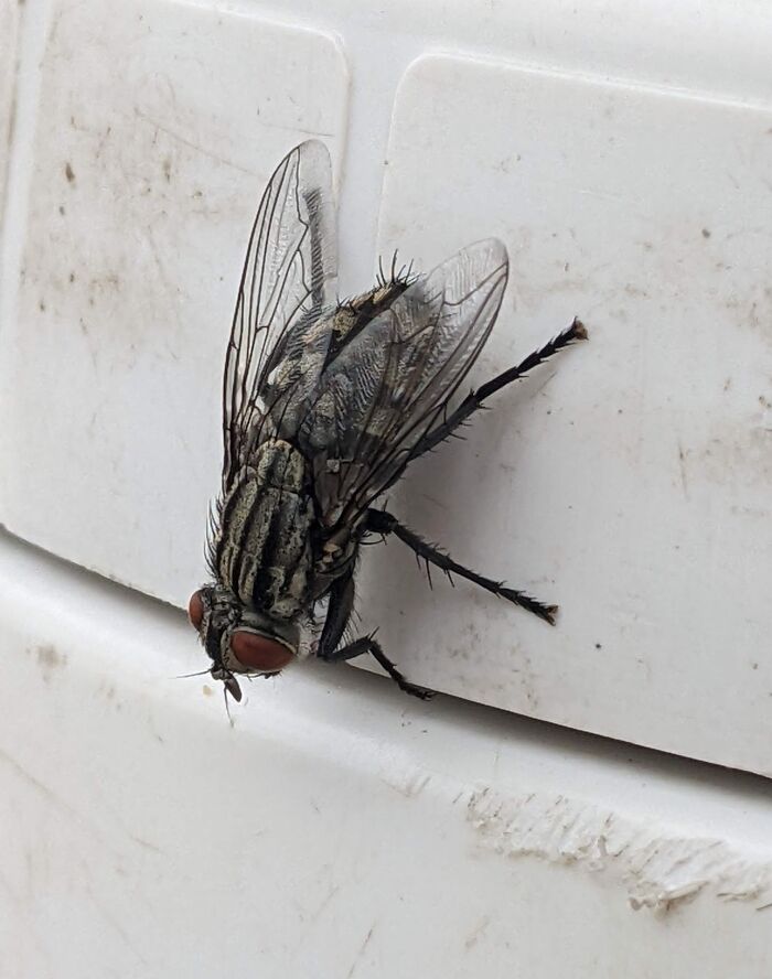 Welcome To Colorado :)