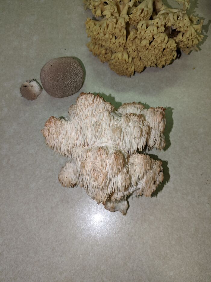 Manistee National Forest, Michigan