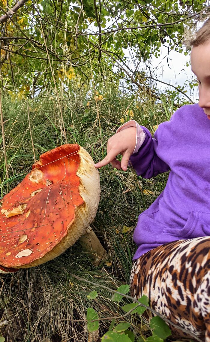 For Scale: Child Is 9yrs Old (Cut For Privacy On The Right Side)