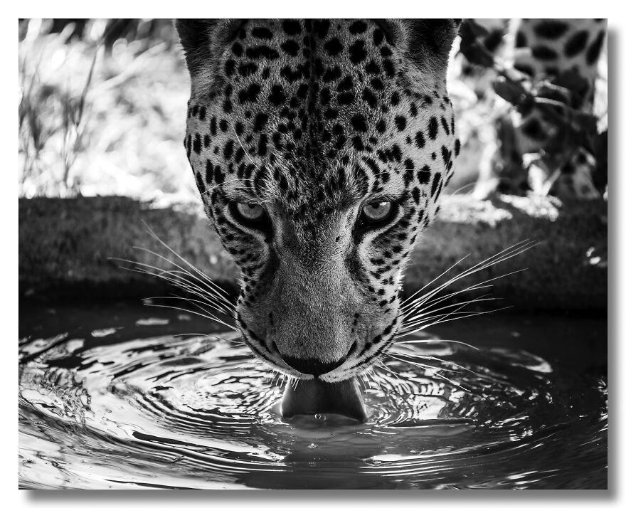 Quench Your Thirst Quench Your Thirst