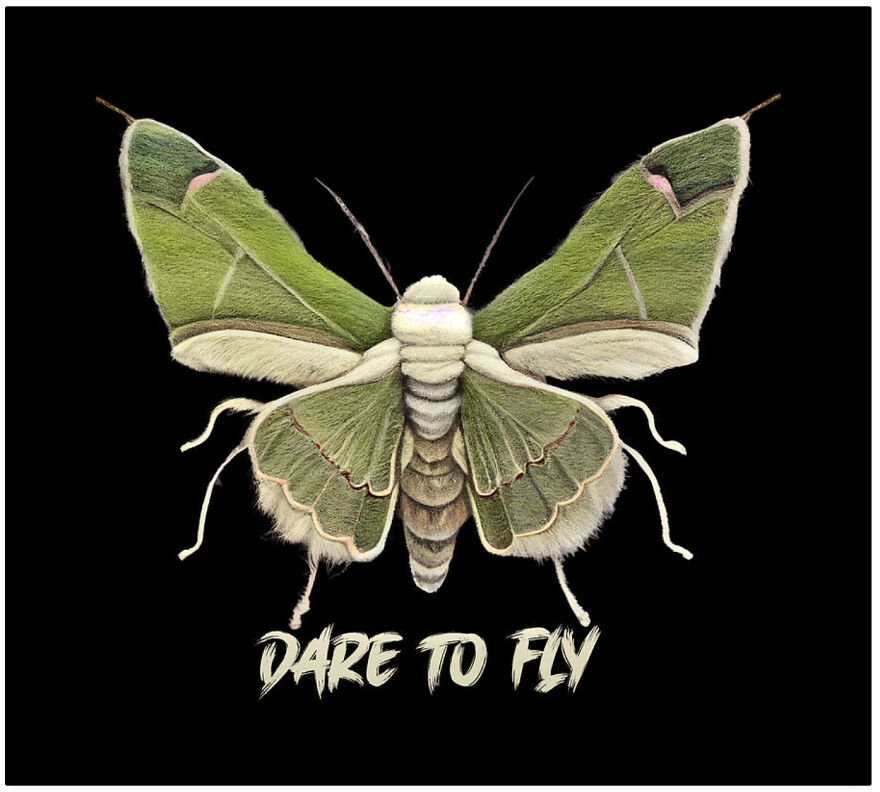 It's Time To Fly Giant Silk Moth Luna Transformation