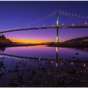 zyaunacrawford avatar