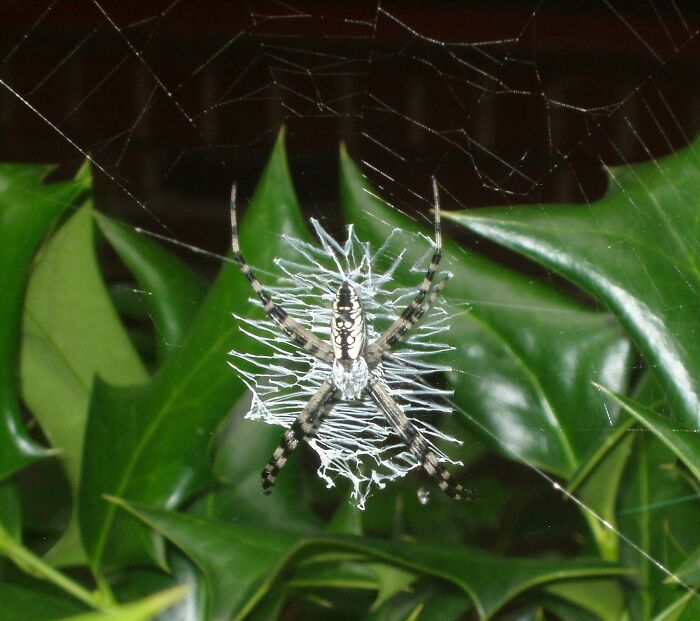 Haven't Seen This Beauty For A Couple Of Years