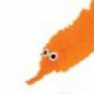 The New Sooploosh MacSchnibble