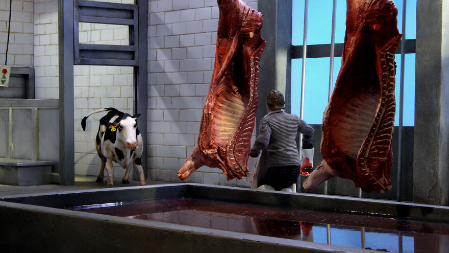 "Super Cow": I Created A Stop-Motion Animation About A Dairy Cow Escaping From Slaughter