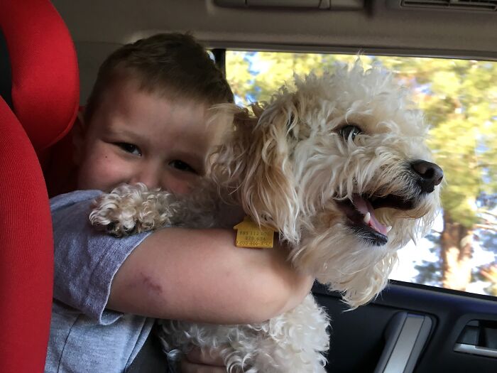 Dog Saved This Boy's Life (6 Pics)
