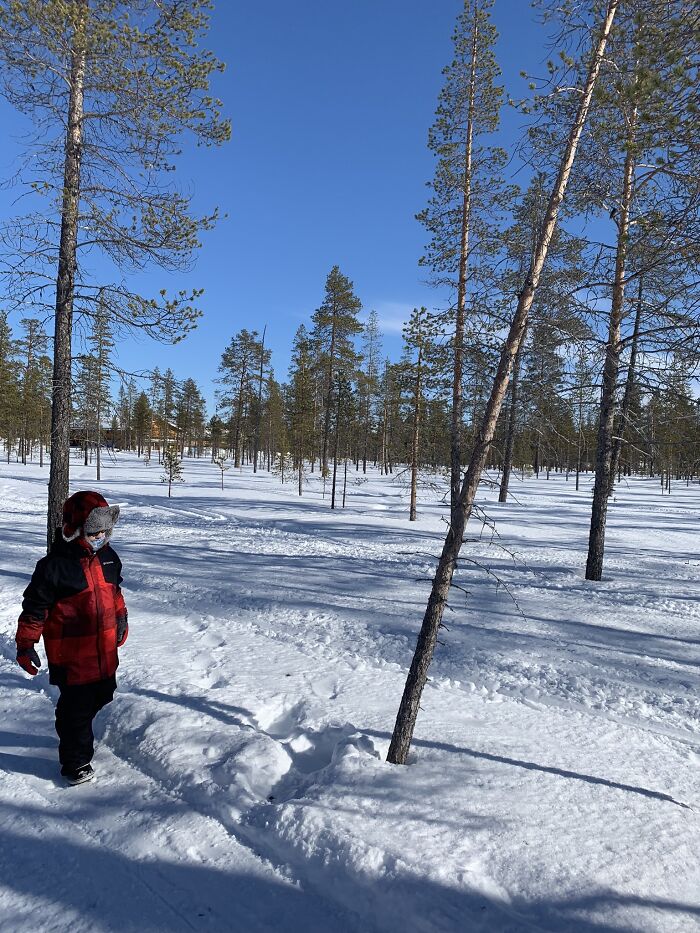 Dog Saved This Boy's Life (6 Pics)