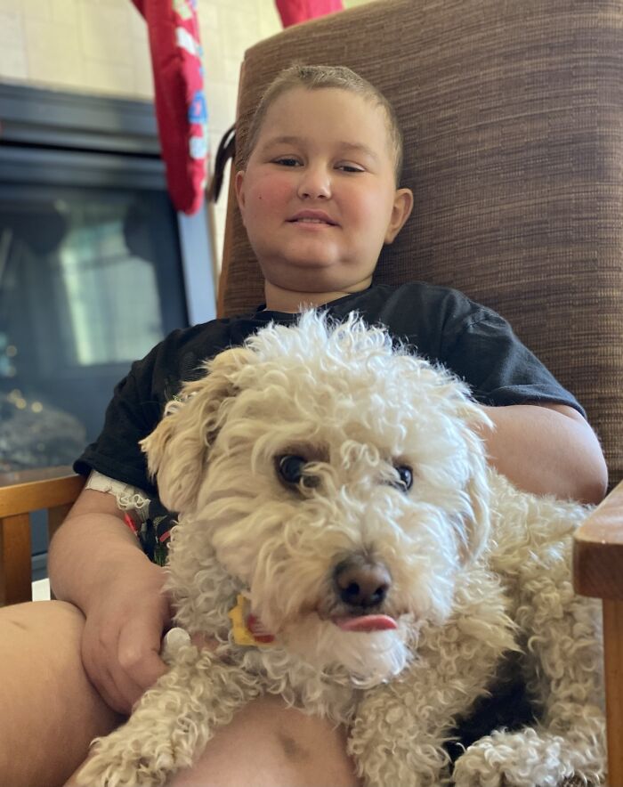 Dog Saved This Boy's Life (6 Pics)