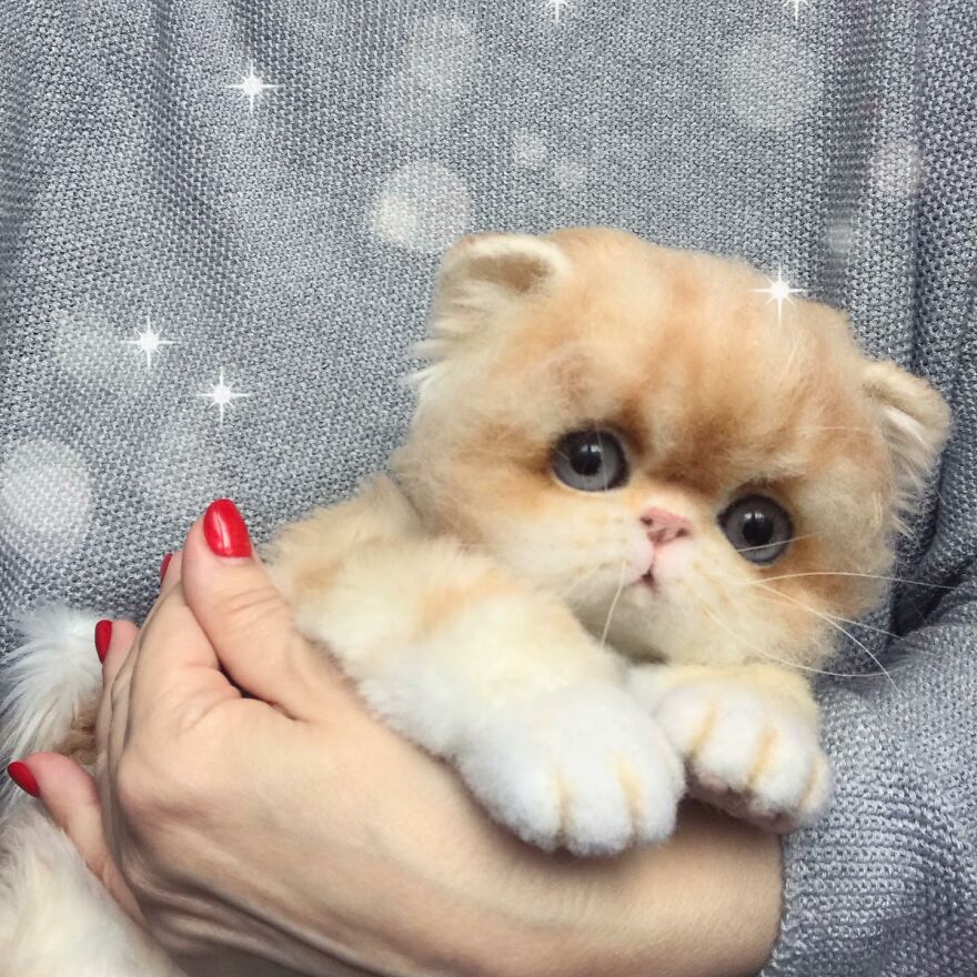 This Russian Artist Creates Wool Animals That Look So Real We Wouldn't Be Surprised If They Come To Life (New Pics)