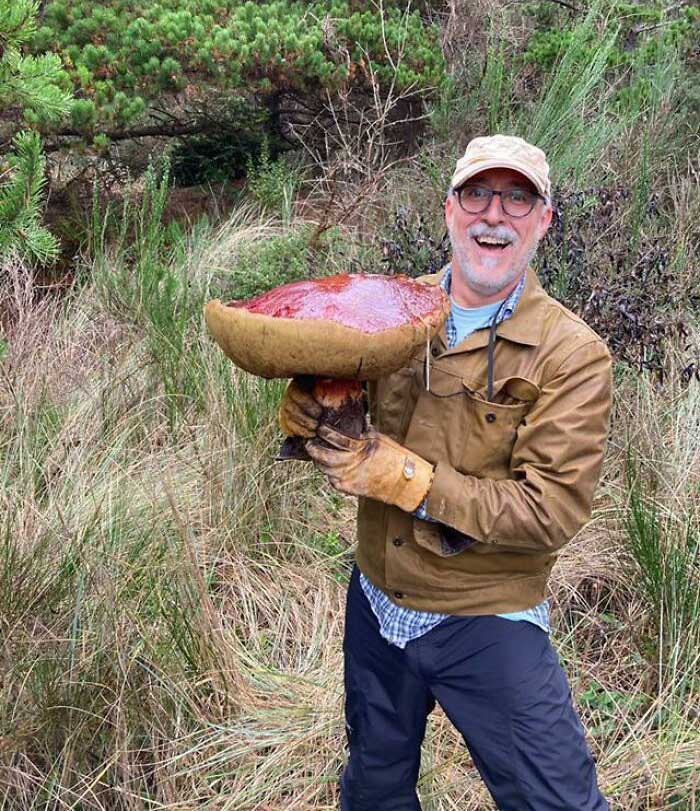Un boletus enorme