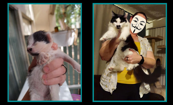 5 Days Old Pulled From My Car Engine / 1 Year Later