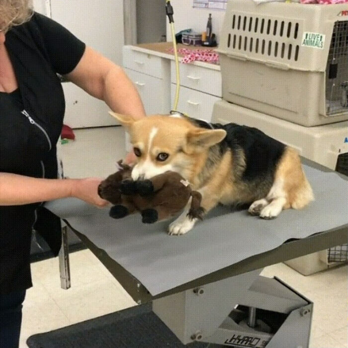 She's Nervous Without Her Support Plushie