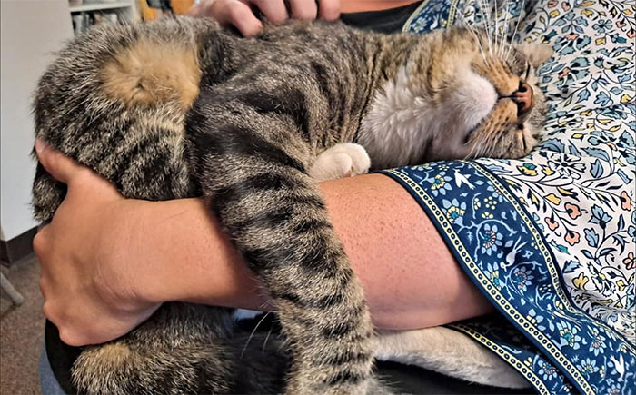 This Wondrous Lovebug Just Strolled Right In To The Meeting House We Were Doing Our Game Night At. Apparently He Lives At One Of The Surrounding Businesses And Has Decided He Owns The Street