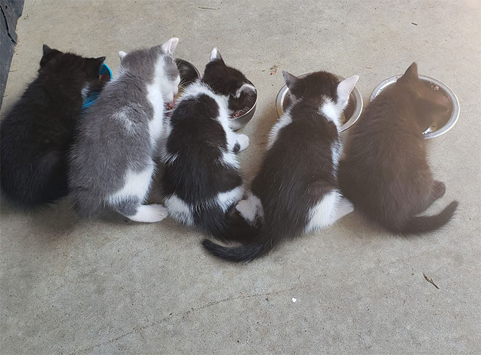 Our Long-Term MHNMC Had Some Babies