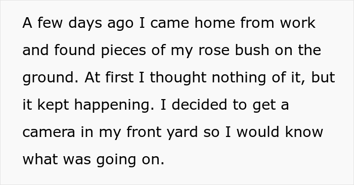 Woman Refuses To Remove Her Rose Garden, So Allergic Neighbor Takes Care Of It Herself And Gets The Cops Called On Her Woman Refuses To Remove Her Rose Garden, So Allergic Neighbor Takes Care Of It Herself And Gets The Cops Called On Her