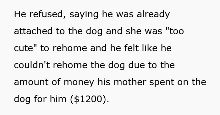 Woman Asks If She Is Being Selfish For Wanting Her Husband&rsquo;s Dog Gone When It Ate Her Food She Got For The First Time In 2 Days
