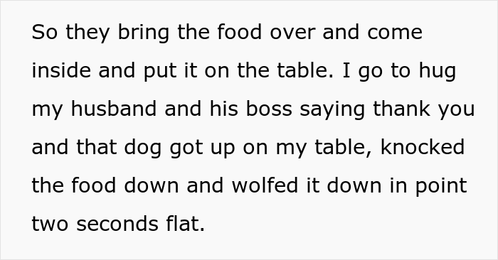 Woman Asks If She Is Being Selfish For Wanting Her Husband&rsquo;s Dog Gone When It Ate Her Food She Got For The First Time In 2 Days