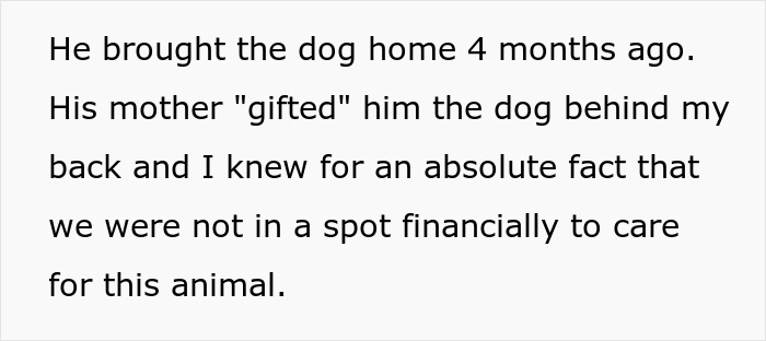 Woman Asks If She Is Being Selfish For Wanting Her Husband&rsquo;s Dog Gone When It Ate Her Food She Got For The First Time In 2 Days