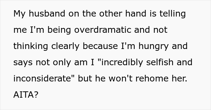 Woman Asks If She Is Being Selfish For Wanting Her Husband&rsquo;s Dog Gone When It Ate Her Food She Got For The First Time In 2 Days