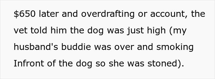 Woman Asks If She Is Being Selfish For Wanting Her Husband&rsquo;s Dog Gone When It Ate Her Food She Got For The First Time In 2 Days