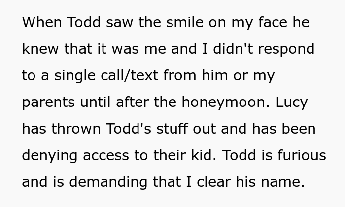 Entitled Man Proposes At His Brother's Wedding, The Groom Takes Brutal Revenge That Ends Up Ruining His Proposal And Relationship 