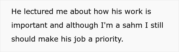 Pilot Skips Work Because His Stay-At-Home Wife Didn't Iron His Uniform, Shows Her How Her Actions "Could Affect The Money That Keeps Coming In"