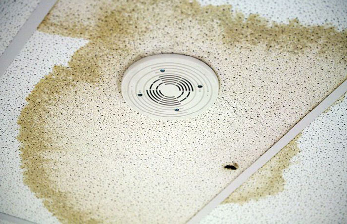 Unpaying Tenant Doesn&rsquo;t Want To Leave Her Trailer So The Landlord Decides To &ldquo;Move In&rdquo; To Make Her Leave