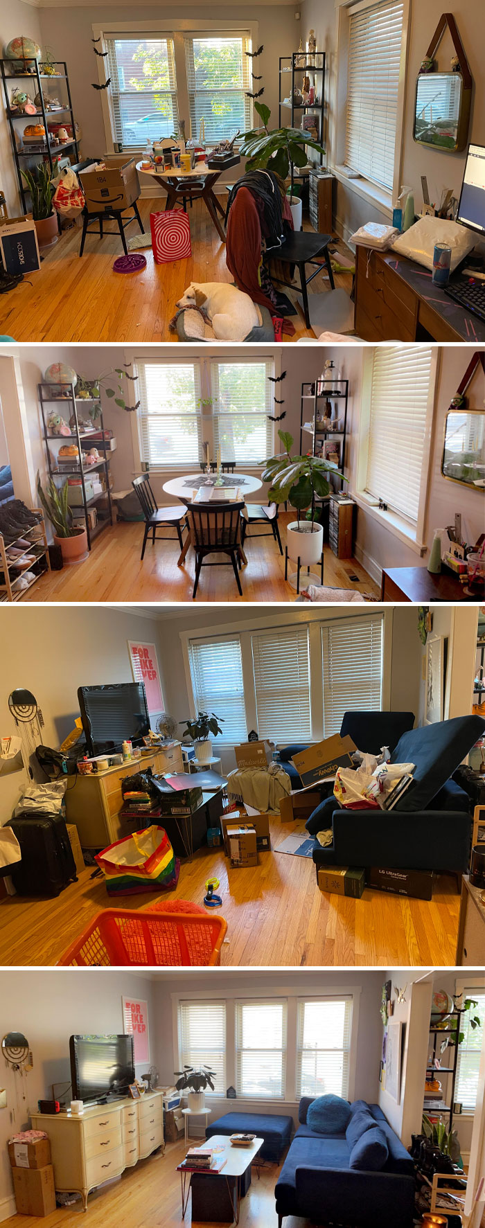 I've Been Living In A Depression Nest For Over A Year. Not Anymore!