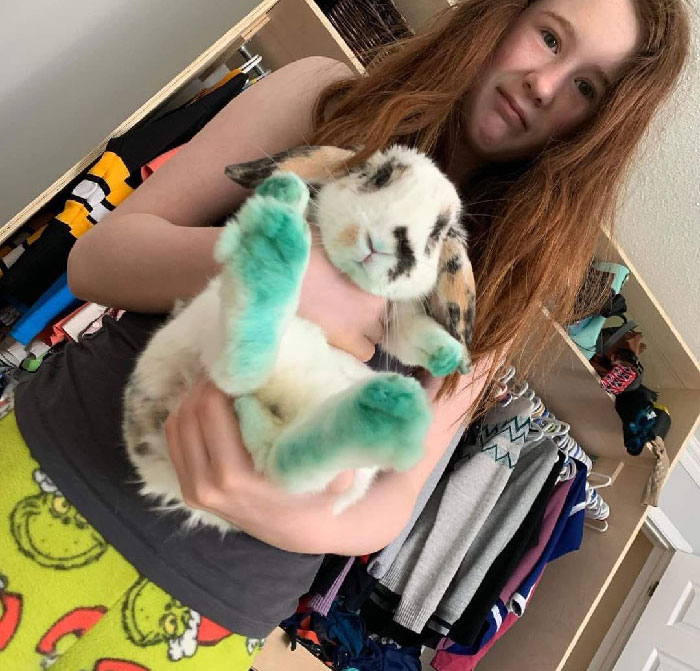 This [Jerk] Found The Dressup Makeup, Knocked It Over, Then Danced In It. Look At His Stupid Little Face. Daughter Not Impressed