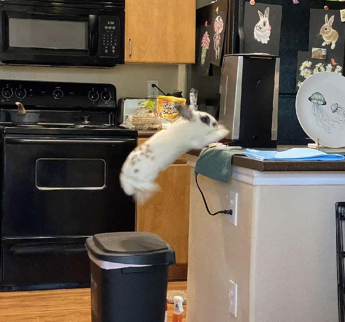 Caught Her On Camera