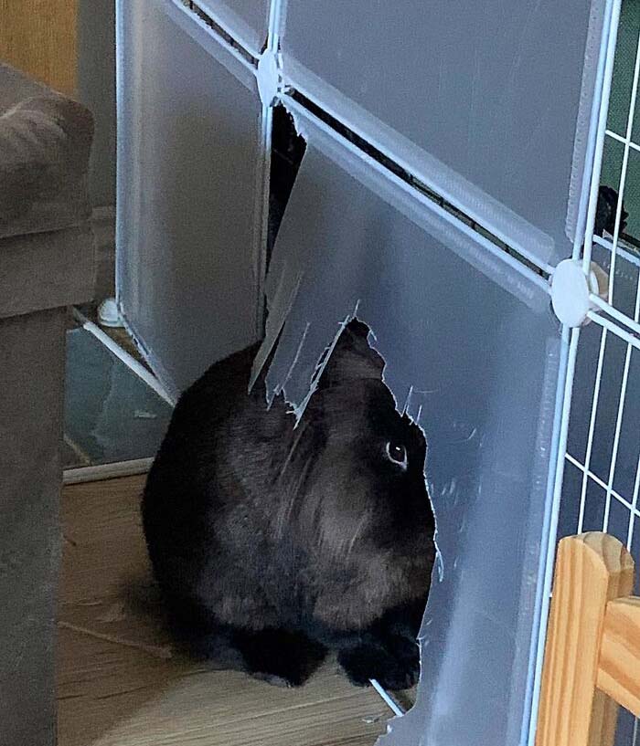 Impermanence No. 7 By Boot