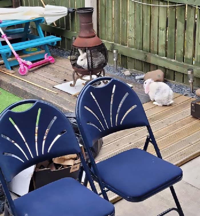 Getting Himself Ready For The Pot