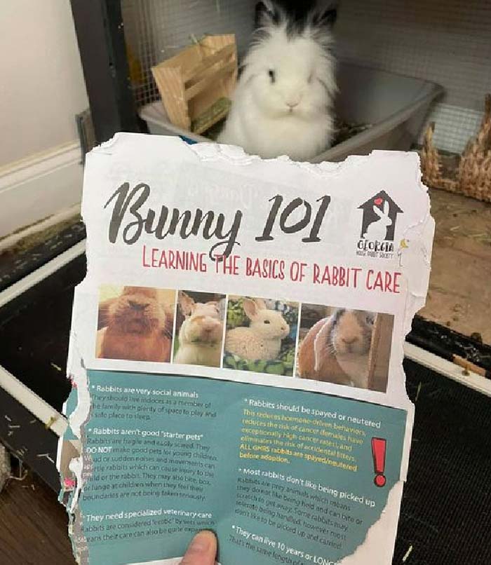 Not A Fan Of Bunny 101