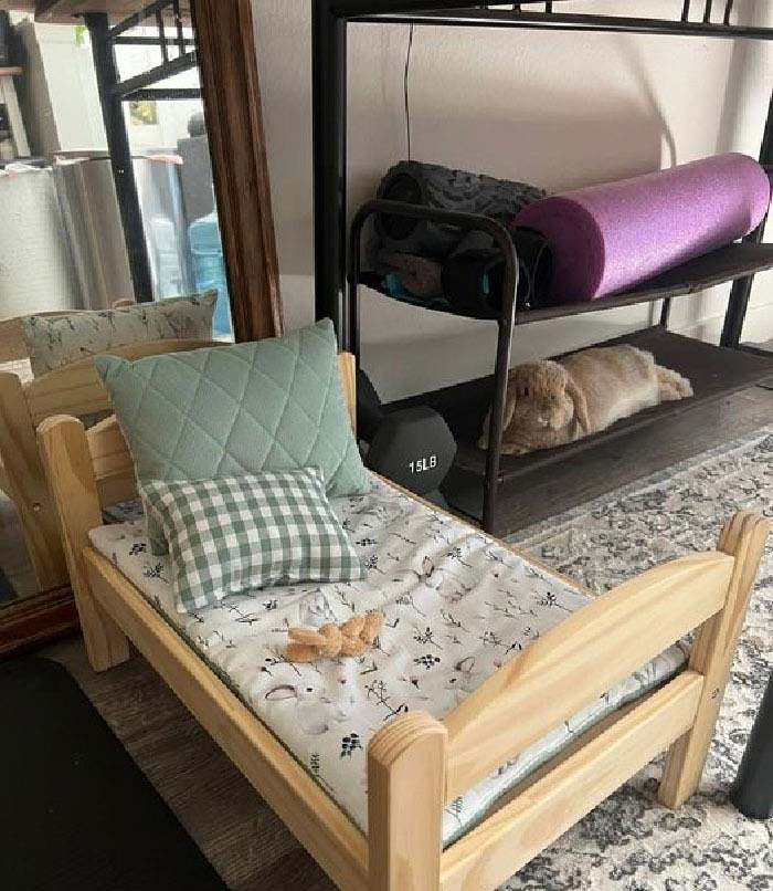 When You Get Her The Cutest Little Bed And She Prefers The Shoe Rack