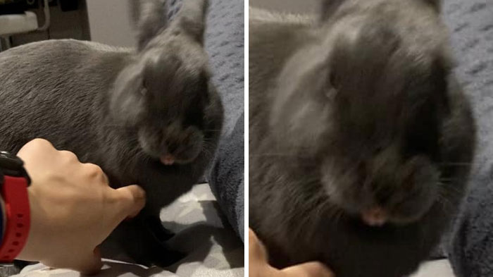 I Said No Touch Mom!