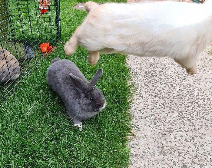 When Your Wife Doesn't Want To Be In The Photo