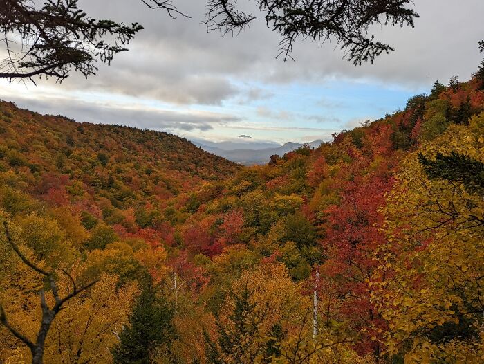 White Mountain National Forest. 2 Miles Of Rough Climbing, But Worth It