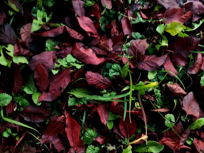 I Love This Contrast