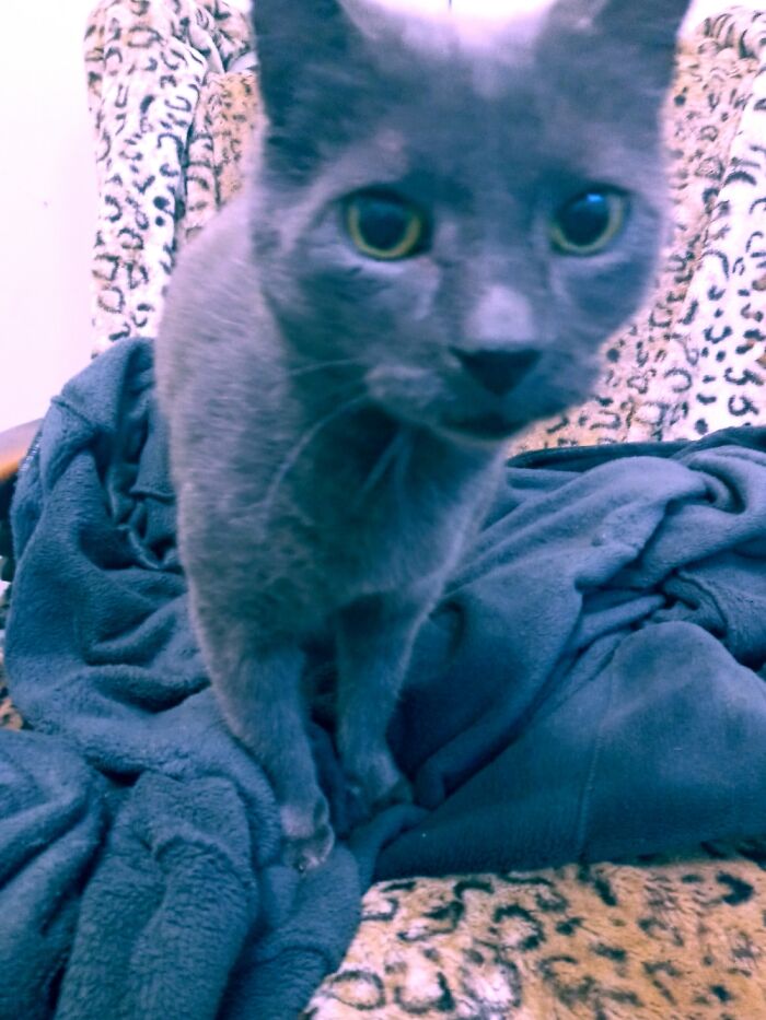 No... But Here's My Cat...he Likes Smiles!!