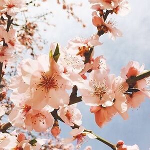 buttonhandleycraig avatar