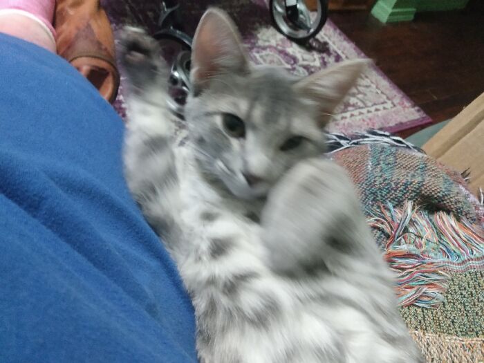 This Is My Smile Every Day