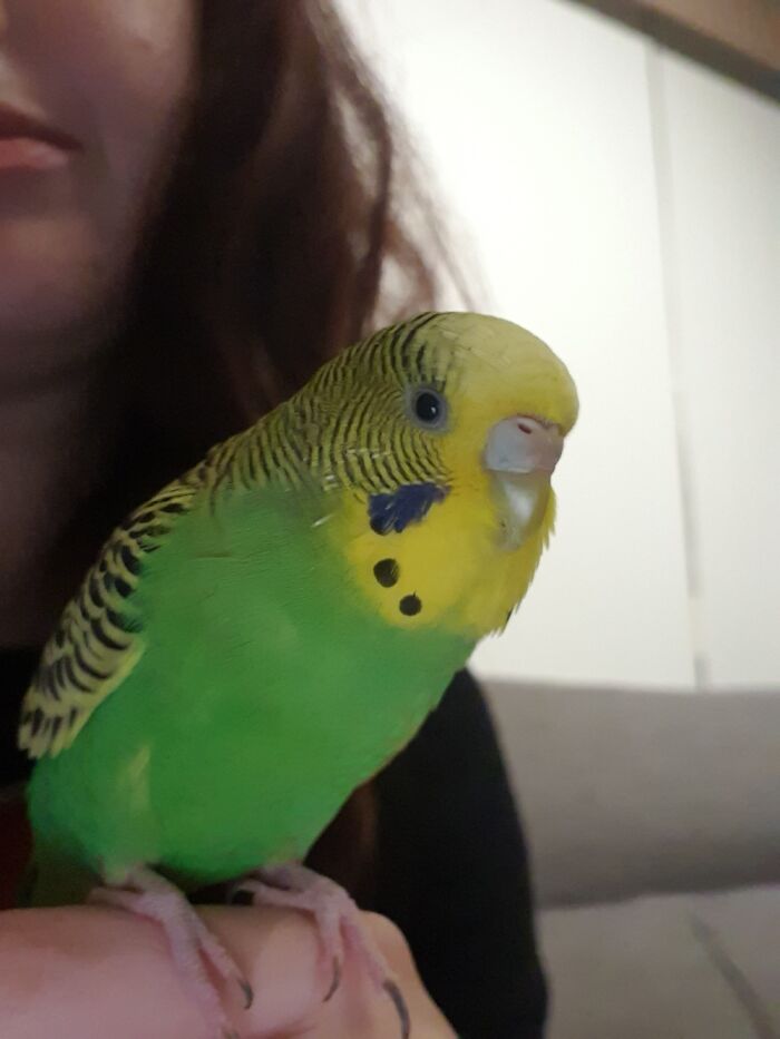 This Crazy Girl Actually Owns Me! Love Her So Much