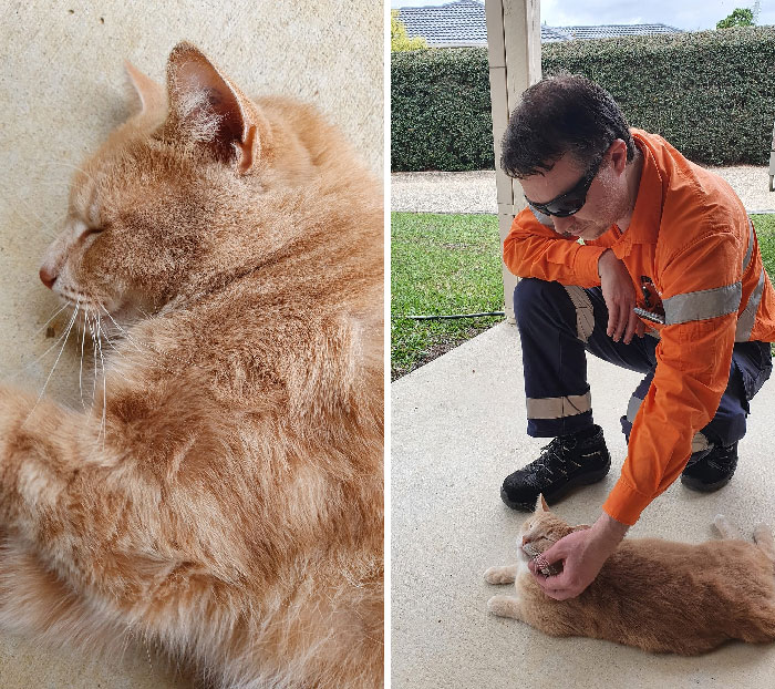 We Have Enjoyed Our Daily Visitor To Our House For Months