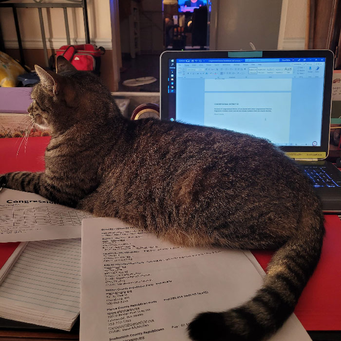 I Now Have A MHNMC. He Started Showing Up A Week Ago