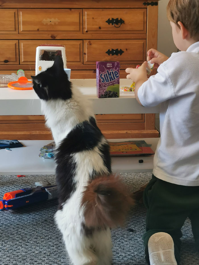 We Had A Bad Leak In Our Bathroom That Resulted In A Lot Of Water Damage Downstairs So I Left The Back Door Open Every Day To Air The Hall... And This Little One Started Walking In Every Single Day And Making Herself Very At Home 