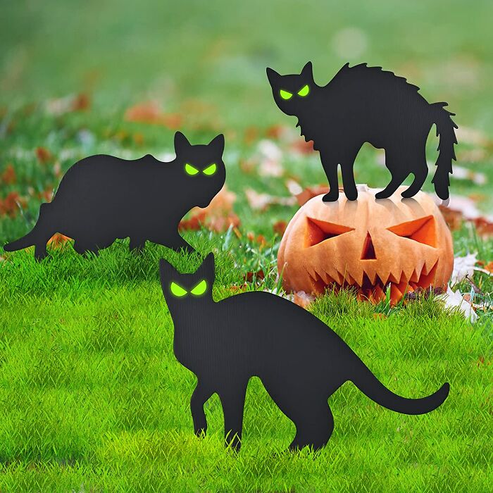 Black Cat Halloween Decorations