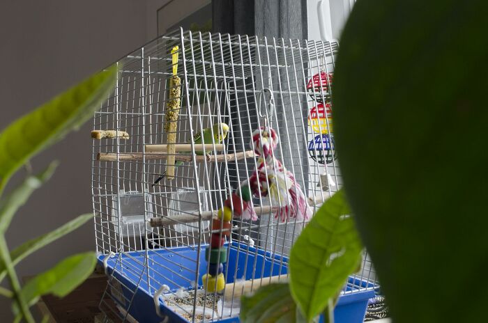 People Who Have To Enter Other People’s Houses As Part Of Their Job Share The Most Disturbing Things They’ve Seen (30 Answers)