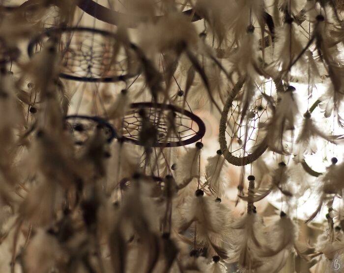 People Who Have To Enter Other People’s Houses As Part Of Their Job Share The Most Disturbing Things They’ve Seen (30 Answers)